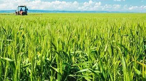 Paddy Procurement Modalities meeting held in Golaghat