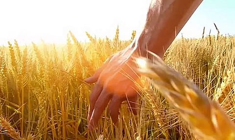 Post-harvest festival Sikpui Ruoi celebrated at Pillangkatta