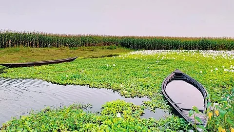 NGO to monitor the eco-sensitive aspects of Deepor Beel