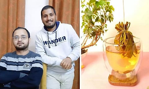 Assam Youths Make 100% Natural Teabags Out of Leaves Directly Plucked from Farms