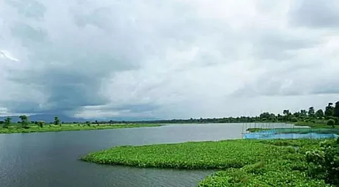 Assam's wetlands under threat, vanishing fast