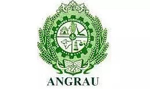 ANGRAU Recruitment 2022 – 1 Young Professional-I Vacancy, Latest Job Openings