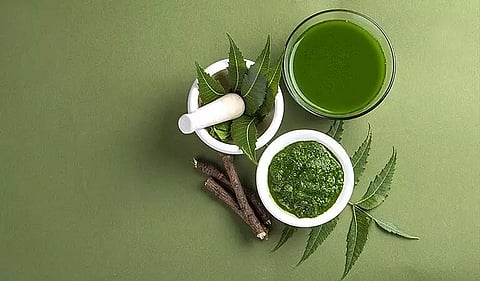 Immunity boosting herbs