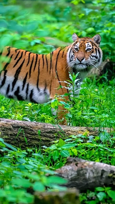 9 Indian Destinations You've Never Heard Of