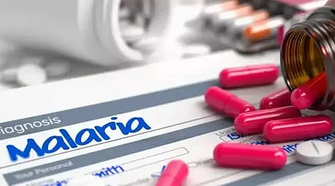 Malaria, encephalitis on the wane in Assam