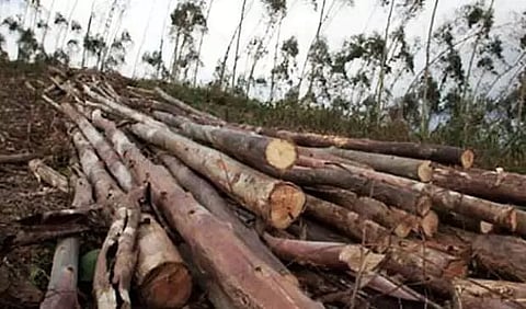 Crackdown on illegal earth-cutting, earth-filling in Kamrup (M) district