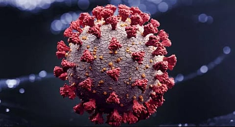 90 new COVID-19 cases registered in Meghalaya