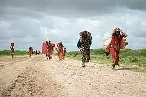 Climate change and migration