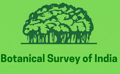 Botanical Survey of India, Sikkim Recruitment 2022 - Field/Technical Assistant And Other Vacancy, Latest Jobs