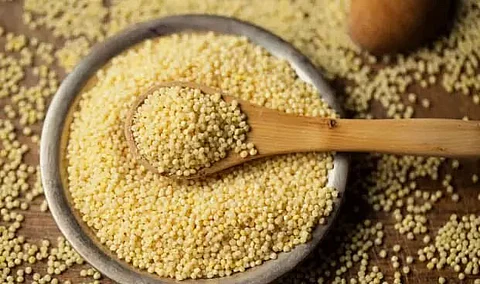 Millets can boost growth by 26-39%: Study