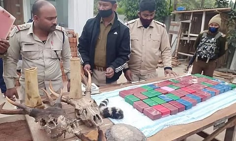 Karbi Anglong Police Arrested Inter-State Narcotic Trade Kingpin: Drugs, Parts Of Wildlife Seized
