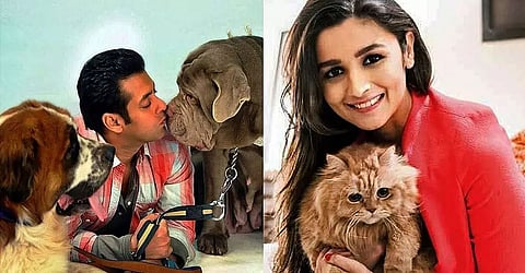 Everyone has a special affinity with their pets.