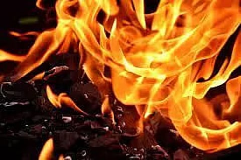 Truck Seized In Cattle Smuggling Set On Fire By Miscreants In Assam