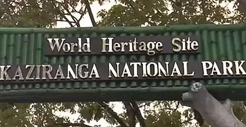 28% decline in Kaziranga National Park water birds