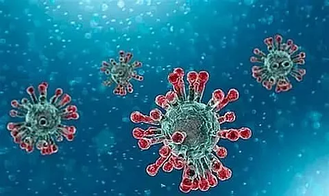Another New Covid Variant? Omicron Sub-Lineage BA.2 Under Investigation