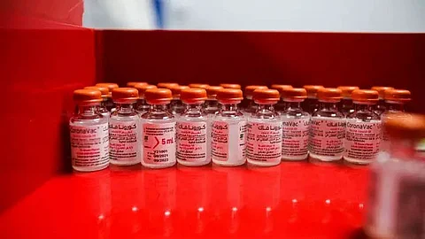 'Chinese vaccine Sinovac no match against Omicron variant'