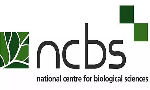 NCBS Recruitment 2022 - Post Doctoral Fellow Vacancy, Job Opening