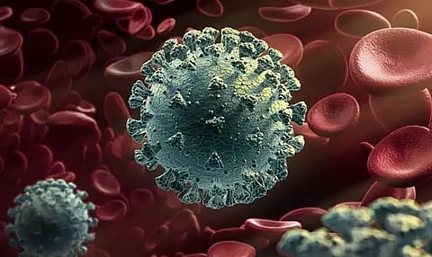 242 fresh Covid cases reported in Arunachal Pradesh