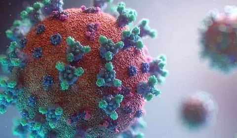 Covid may cause microscopic damage to lungs