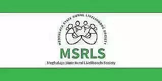MSRLS Recruitment 2022: 13 Project Manager, YP, and Project Executive Vacancy, Job Openings
