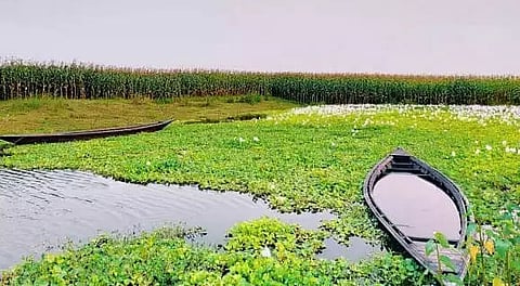 Integrating wetland ecosystem into developmental planning