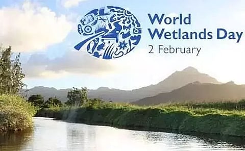 World Wetlands Day celebrated at Chandubi Beel