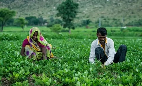 Plan to introduce natural farming in agriculture education curriculum