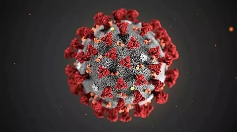 Pandemic widens screening gap among cancer patients