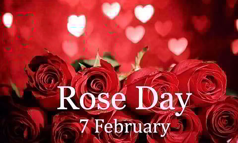 Do You Know Why 1st Day of Valentine's Week is Celebrated As Rose Day?