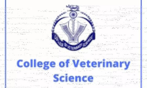 College Of Veterinary Science Guwahati Recruitment 2022 - Young Professional-II, Project Associate-I, Job Opening