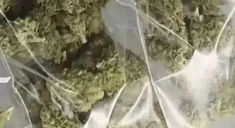 30 kg ganja seized at Guwahati Railway Station
