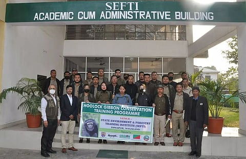 Nagaland forest staff being trained for hoolock gibbon conservation