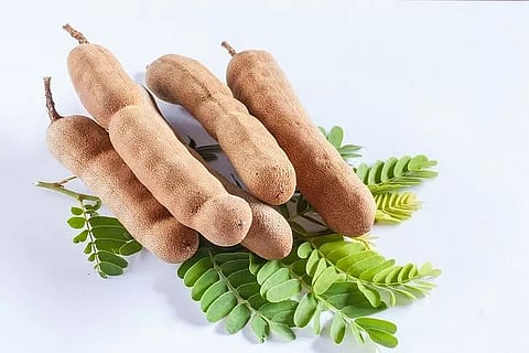 Check out the benefits of drinking tamarind juice