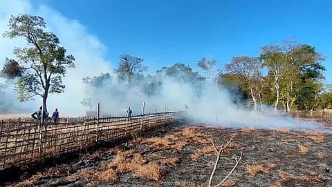 Devastating fire: Two silk farms reduced to ashes in Dhakuakhana