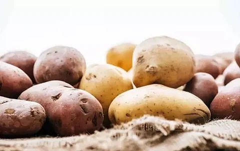 Potato imports cost Assam Rs 4,500 crore yearly