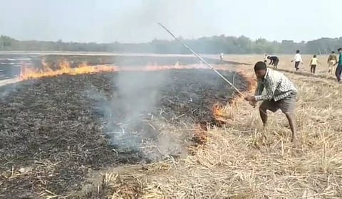 Fire at Teteliguri crop field under Tamulpur district