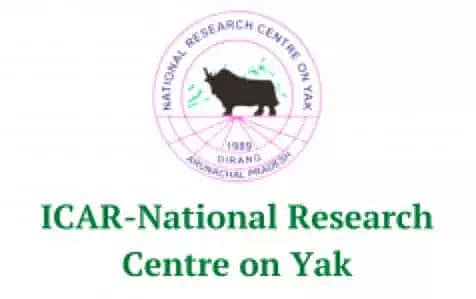 NRCY Yak Arunachal Pradesh Recruitment 2022 - Young Professional Vacancy, Latest Jobs