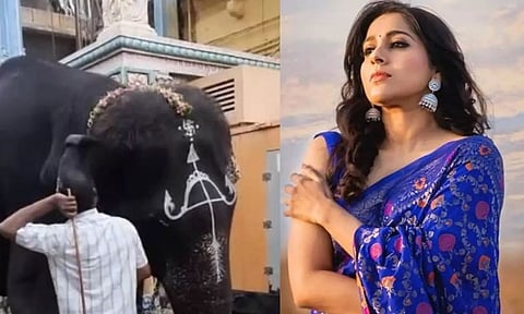Actress Rashmi Gautam Urges People To Say No To Animal Rides, Captivity