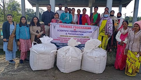 KVK Lakhimpur organized training progamme on scientific fodder production