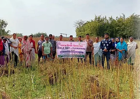 Field Day on mustard conducted by Krishi Vigyan Kendra, Lakhimpur