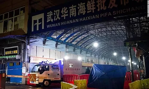 US Scientists Find Covid Originated In Wuhan's Wet Market