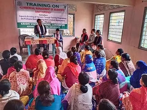 Krishi Vigyan Kendra Lakhimpur organized training programme on goat farming