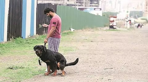 Guwahati: Now Owners Of Pets Defecating In Public Will Be Penalised