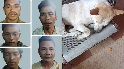 5 Dog Smugglers Arrested in Guwahati