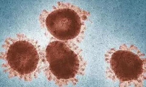 Cancer drugs might be able to target tuberculosis
