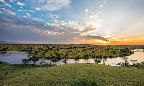 Contaminated water in Mara River