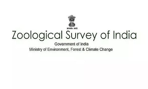 ZSI Recruitment 2022 - Project Biologist, Junior Project Biologist, Job Opening