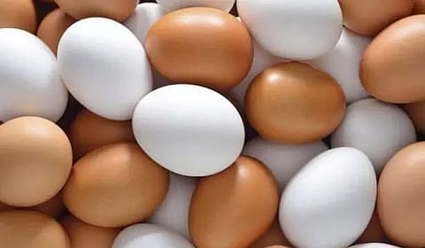 Egg production potential in Assam