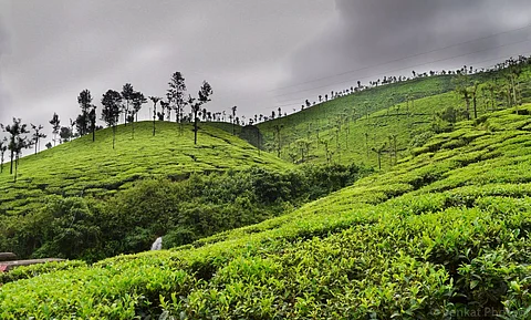 600 Tea estates default PF claims