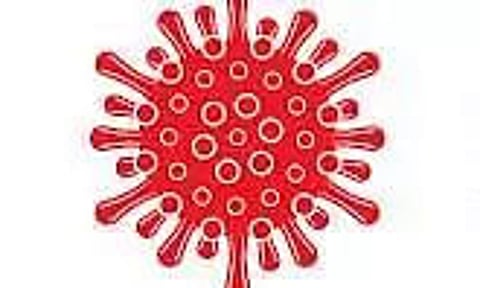 Only one active Covid case in Arunachal